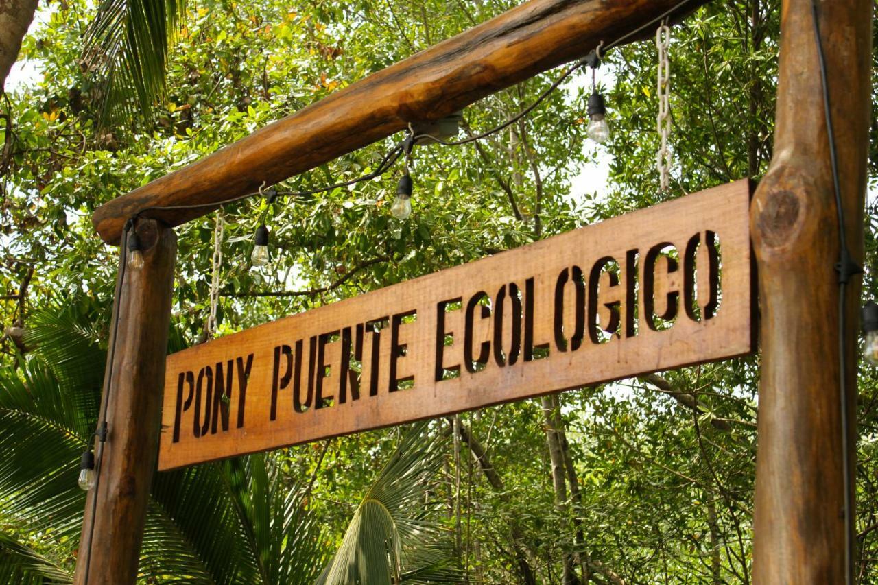 Show Pony And Hotel Las Lajas (Chiriqui)